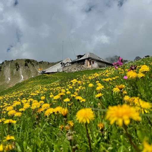 Grubenberghütte