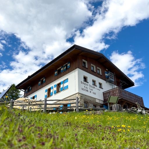 Peller